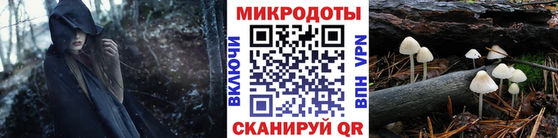 Купить закладки  Ельня  Псилоцибиновые грибы MAGIC MUSHROOMS 